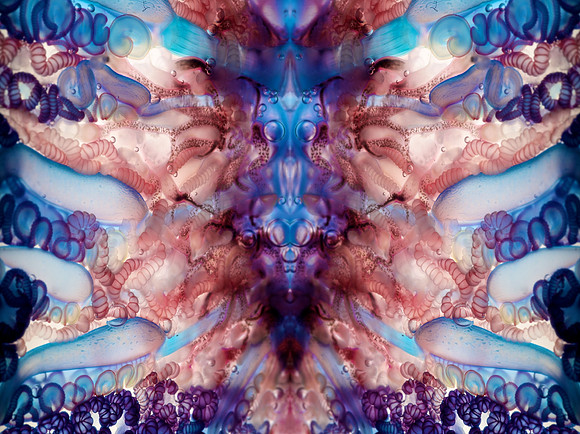 Zooid-1039