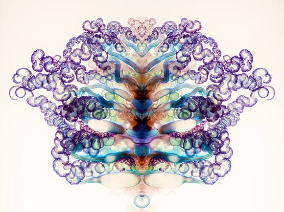 Zooid-1686