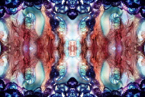 Zooid-2104