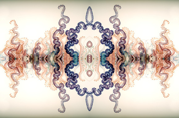 Zooid-0928