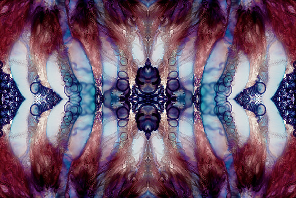 Zooid-1299