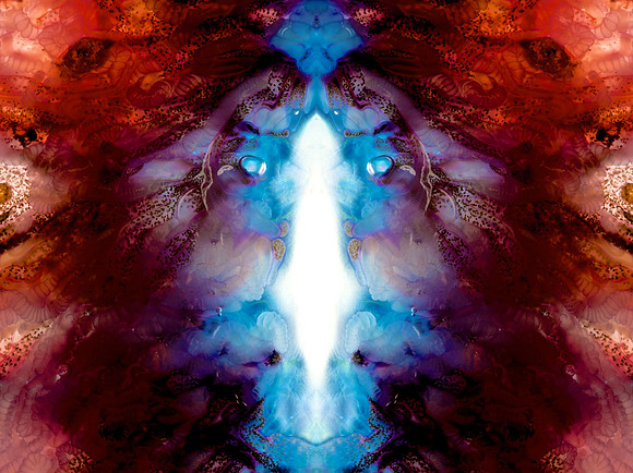Zooid-1729