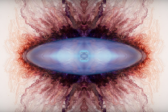 Zooid-1488