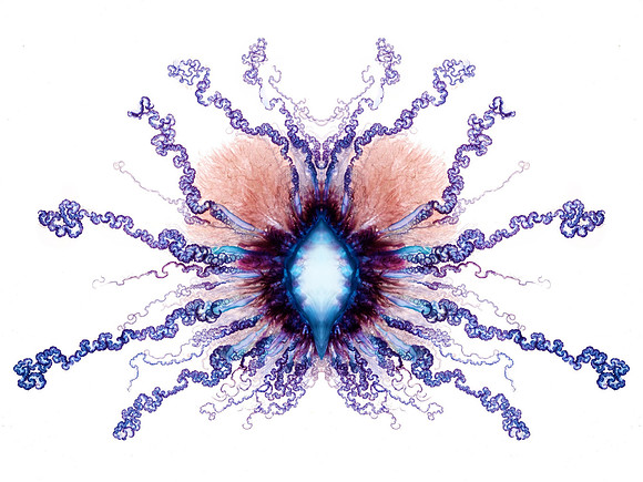 Zooid-1283