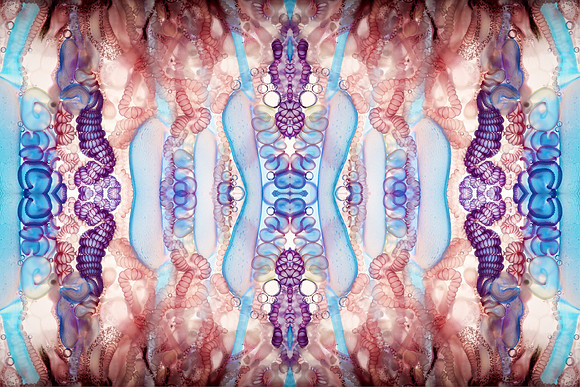 Zooid-1014