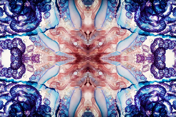 Zooid-1041