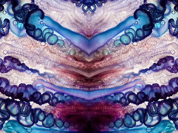 Zooid-1287