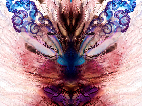 Zooid-1845