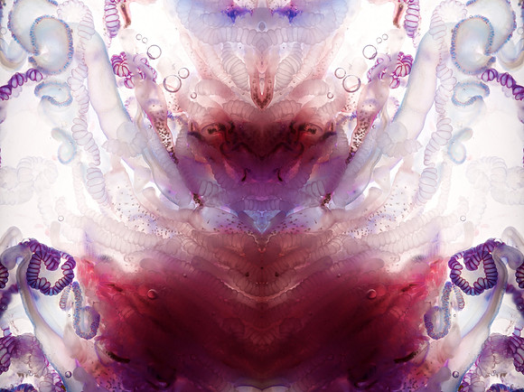 Zooid-1445