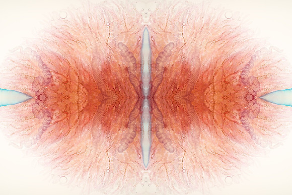 Zooid-1636