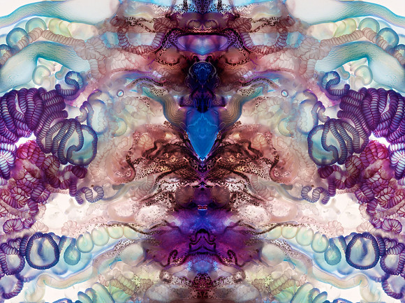 Zooid-1238