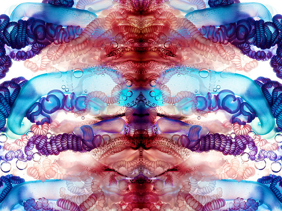 Zooid-1009