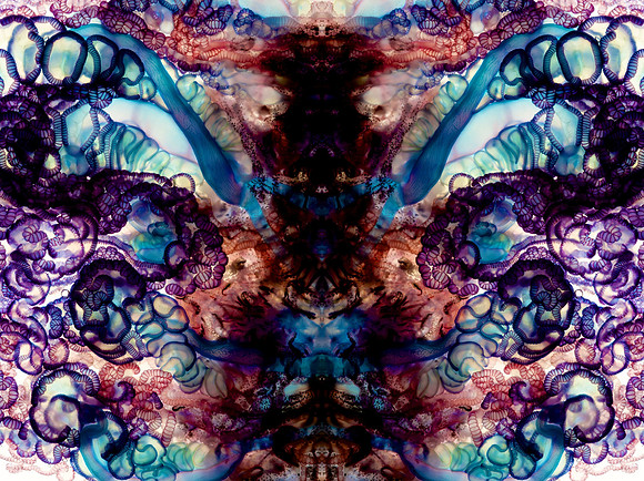 Zooid-1813