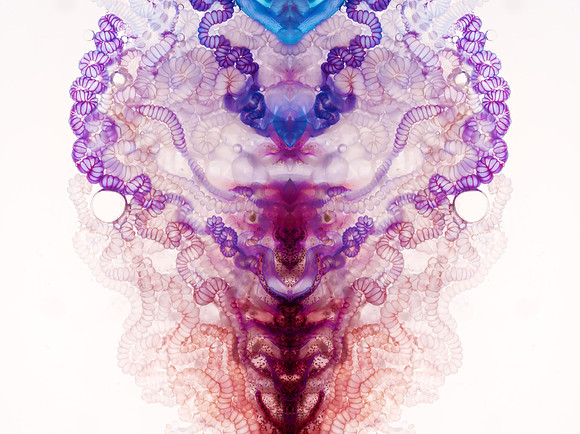 Zooid-1266