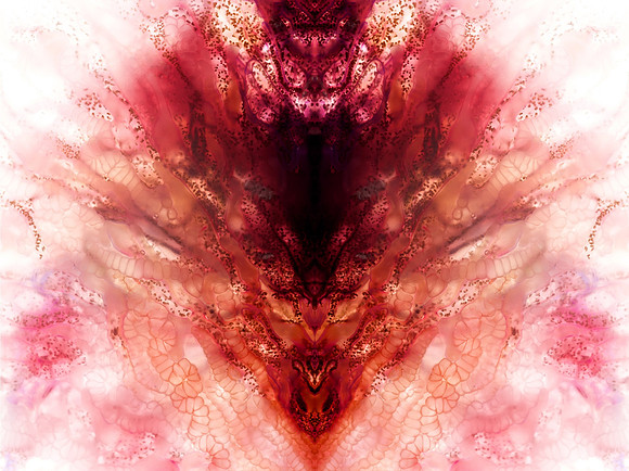 Zooid-1782