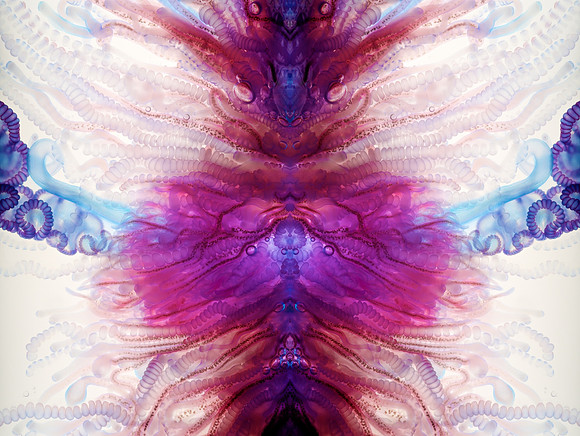 Zooid-0988