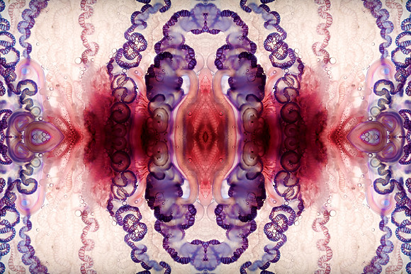 Zooid-1461