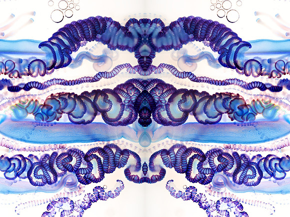 Zooid-0987