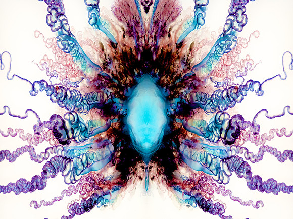 Zooid-1832