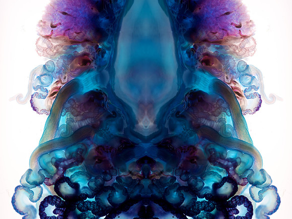 Zooid-2166