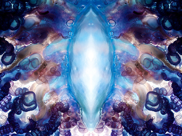 Zooid-2160