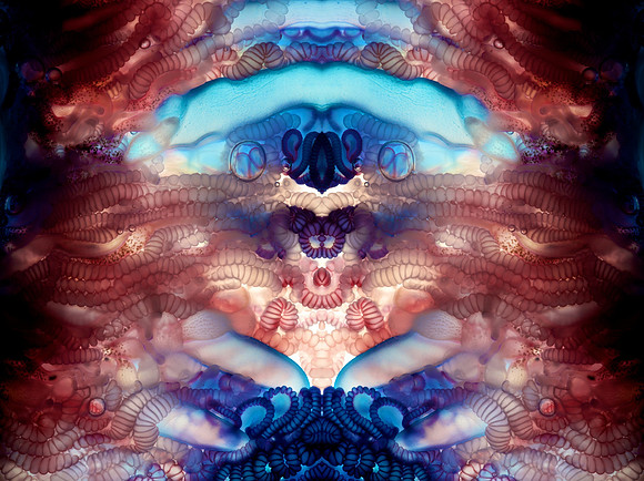 Zooid-1007