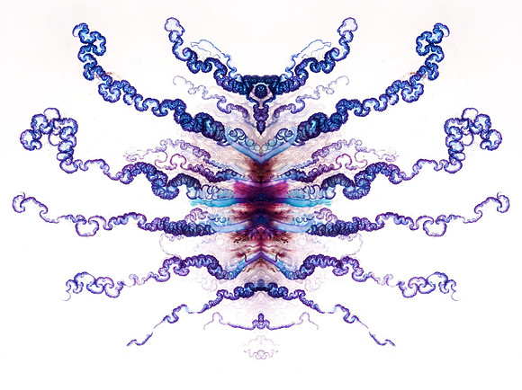 Zooid-1332