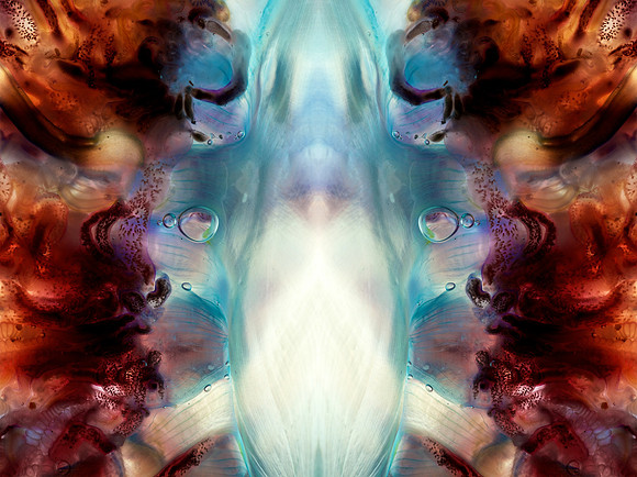 Zooid-2089