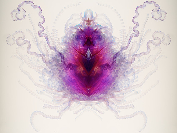 Zooid-0990
