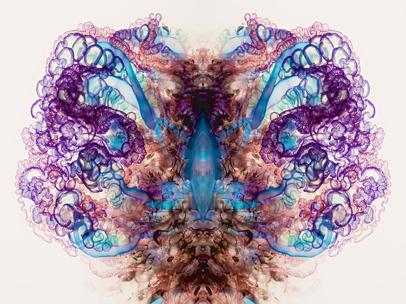 Zooid-1817