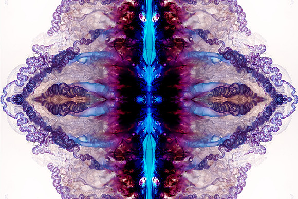 Zooid-1267