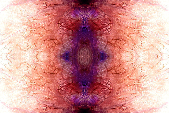 Zooid-1255