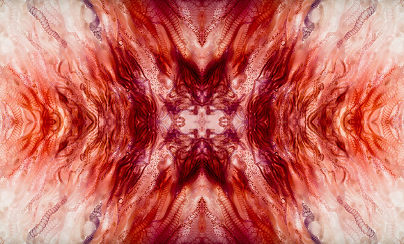 Zooid-0948
