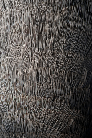AA_20131204_AAA5756