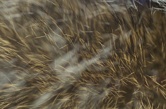 AA_20131127_DSC3023