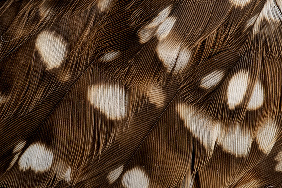 AA_20130912_AAA0519