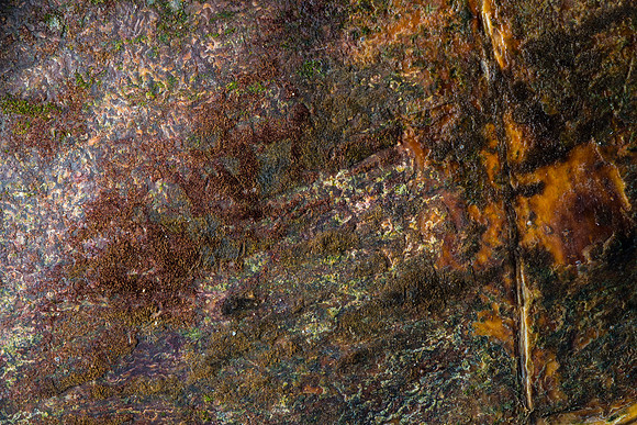 AA_141210_AAA0094