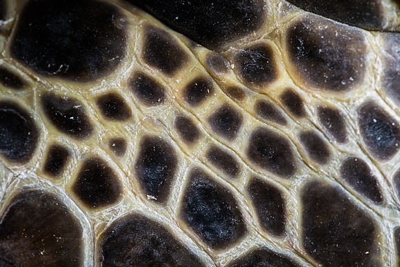 AA_141210_AAA0129
