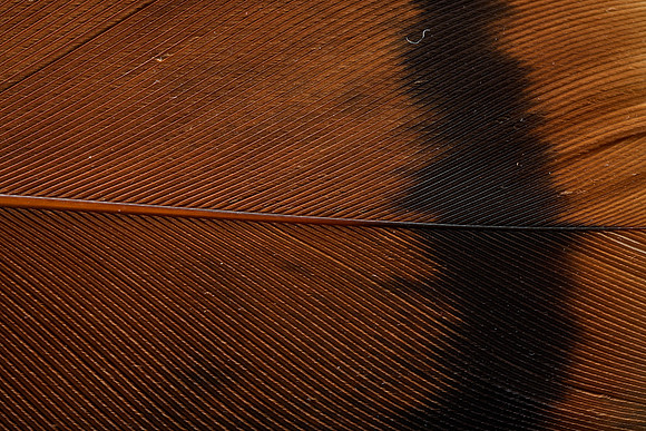 AA_20131127_AAA5090