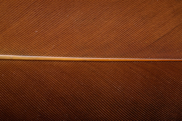 AA_20131127_AAA5089