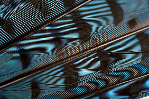 AA_20140106_AAA9582