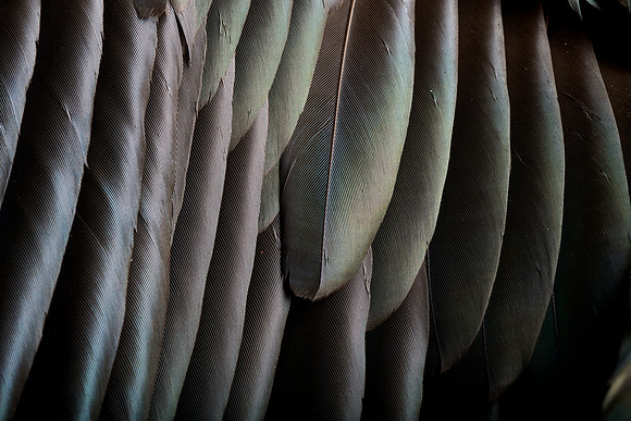 AA_20131126_AAA4588