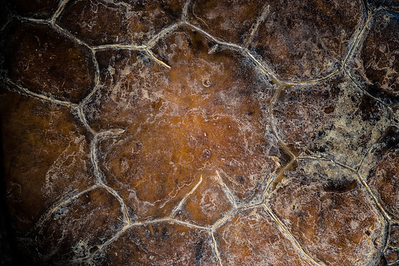 AA_141210_AAA0097