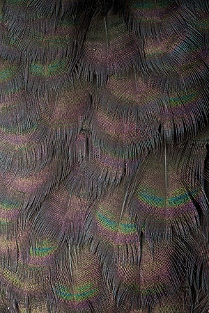 AA_20131204_AAA5802