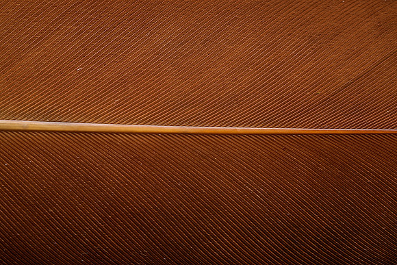 AA_20131127AA_20131127_AAA5089