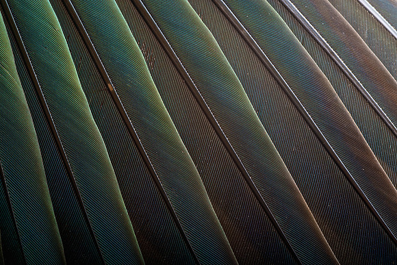 AA_20131126AA_20131126_AAA4594