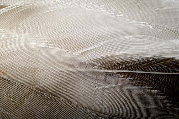 AA_20140107_AAA9814